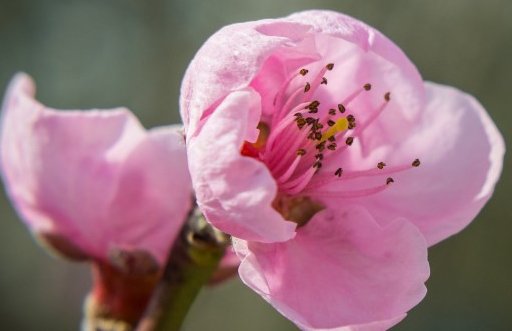 2021年3月17日农历二月初五出生的男孩国学古风诗词起名-第2张图片 2021年3月17日农历二月初五出生的男孩国学古风诗词起名-第2张图片