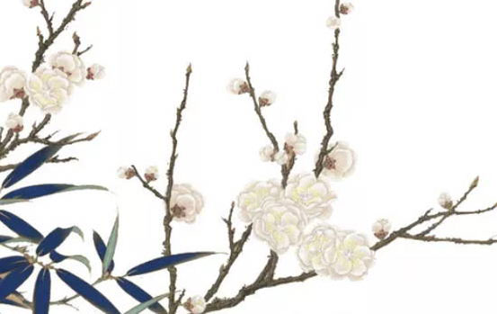 2020年2月18号出生的女孩怎么取名字，结合寓意好的字起名-第2张图片