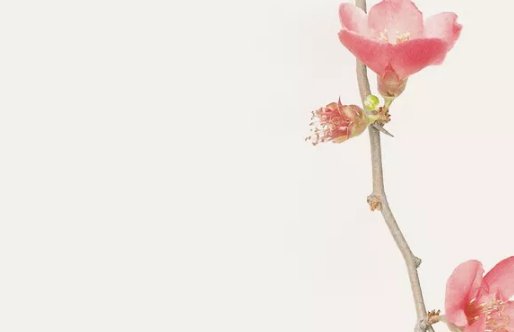 2020年7月8号五月十八生的男孩命运怎么样,如何起名字-第1张图片 2020年7月8号五月十八生的男孩命运怎么样,如何起名字-第1张图片