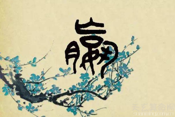 上古八大姓怎么读,,,上古八大姓的介绍-第2张图片