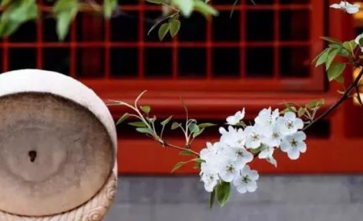 2020年6月10号闰四月十九出生的女孩命好吗,如何取名字-第2张图片 2020年6月10号闰四月十九出生的女孩命好吗,如何取名字-第2张图片
