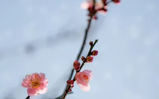 2021年3月10日农历正月二十七出生的男孩名字怎么起最好-第1张图片 2021年3月10日农历正月二十七出生的男孩名字怎么起最好-第1张图片