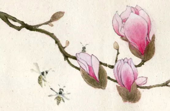 2020年3月21号二月二十八生的女孩是什么命,起什么名字好-第2张图片 2020年3月21号二月二十八生的女孩是什么命,起什么名字好-第2张图片