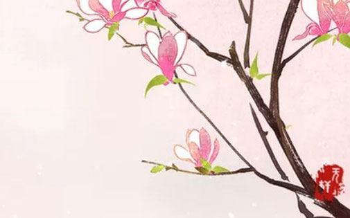 女孩叫贞好吗,最后一个字是贞的名字-第1张图片 女孩叫贞好吗,最后一个字是贞的名字-第1张图片
