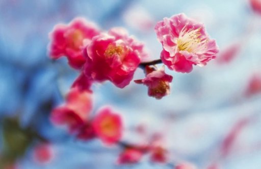 2021牛年正月十四出生的孩子如何起名字,今日出生的孩子名字-第1张图片 2021牛年正月十四出生的孩子如何起名字,今日出生的孩子名字-第1张图片