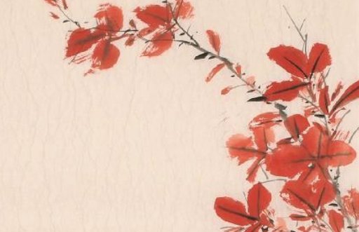 2021年情人节这天出生的宝宝命好吗,如何起名旺运-第2张图片