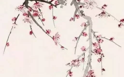 2020年6月6号闰四月十五出生的女孩是什么命,如何取名字-第2张图片 2020年6月6号闰四月十五出生的女孩是什么命,如何取名字-第2张图片