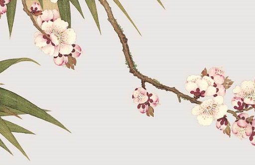 2021年5月22日农历四月十一出生的女孩根据经典诗词取名-第2张图片