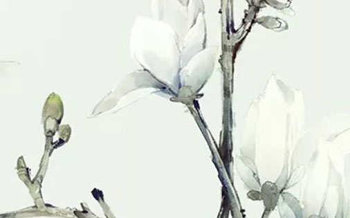 中间带株的女孩名字,株字女孩起名大全-第1张图片 中间带株的女孩名字,株字女孩起名大全-第1张图片