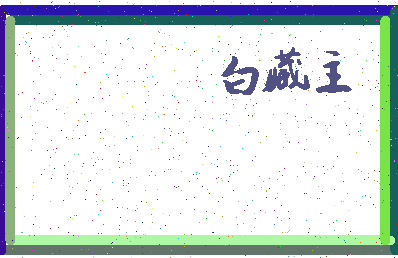 「白藏主」姓名分数98分-白藏主名字评分解析-第3张图片