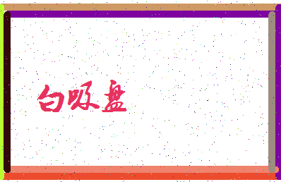 「白吸盘」姓名分数90分-白吸盘名字评分解析-第3张图片