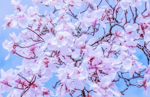 2021年3月23日农历二月十一出生的男孩在线高分取名-第2张图片 2021年3月23日农历二月十一出生的男孩在线高分取名-第2张图片