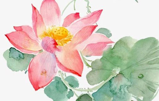 带芳字的好听的女孩名字大全,芳字名字专题-第2张图片 带芳字的好听的女孩名字大全,芳字名字专题-第2张图片