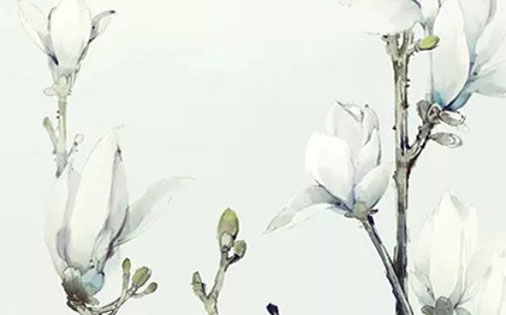 带株字的女孩名字寓意,株字取名-第2张图片 带株字的女孩名字寓意,株字取名-第2张图片