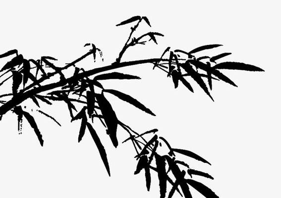 2020年7月出生的鼠宝宝起名方法有哪些-第1张图片