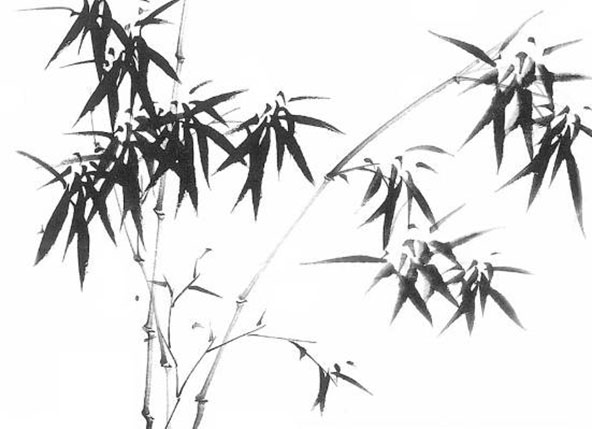 2020年7月29号出生的男孩怎么起名字，五行属什么