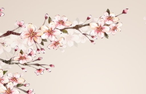 2021年4月27日出生的女孩起什么名字,仙气清冷