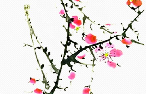2020年7月16号五月二十六生的男孩命运好吗,取什么名字寓意好-第1张图片 2020年7月16号五月二十六生的男孩命运好吗,取什么名字寓意好-第1张图片