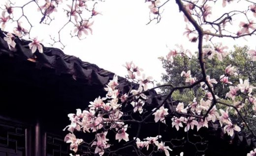 2020年6月7号闰四月十六出生的女孩是什么命,取什么名字有气质-第2张图片 2020年6月7号闰四月十六出生的女孩是什么命,取什么名字有气质-第2张图片