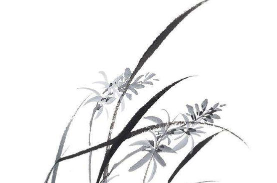 2020年3月2号出生的男孩起什么名字好,五行属什么-第1张图片 2020年3月2号出生的男孩起什么名字好,五行属什么-第1张图片