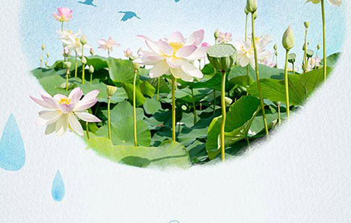 名字中带芳字的含义,芳字取女孩子名字