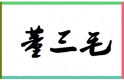 「董三毛」姓名分数96分-董三毛名字评分解析