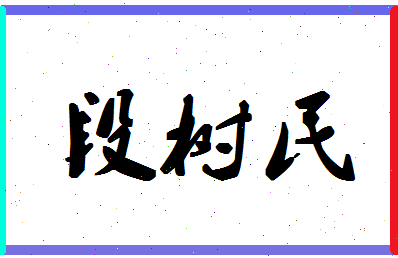 「段树民」姓名分数93分-段树民名字评分解析