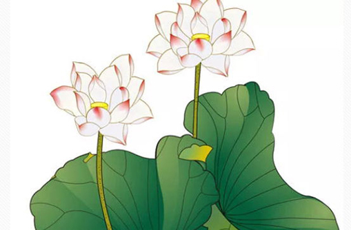 2020年农历十月鼠宝宝取名,如何取名-第2张图片 2020年农历十月鼠宝宝取名,如何取名-第2张图片