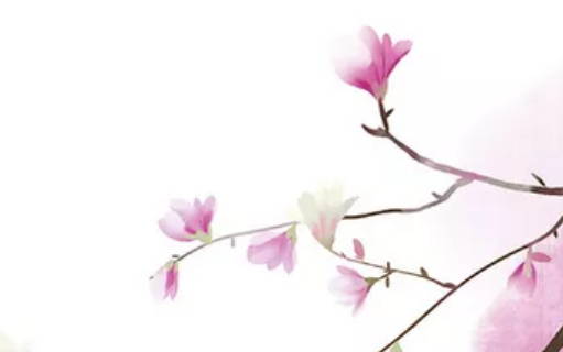 2020年5月16号四月二十四生的女孩是什么命,结合八字起名-第2张图片 2020年5月16号四月二十四生的女孩是什么命,结合八字起名-第2张图片
