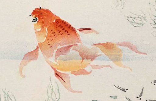 2021年5月4日出生的女孩名字怎么起,温柔文静诗意-第2张图片