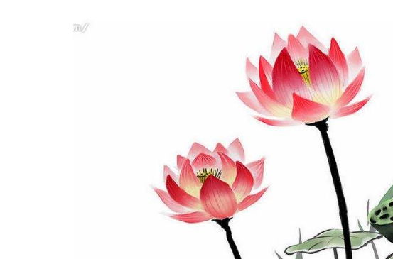 2020年3月7号出生的男孩起什么名字好,五行属什么-第2张图片 2020年3月7号出生的男孩起什么名字好,五行属什么-第2张图片