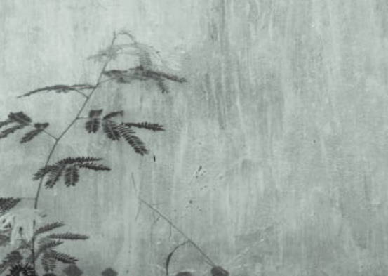 大年正月初六出生的宝宝命运怎么样,有什么起名宜用字吗?-第2张图片 大年正月初六出生的宝宝命运怎么样,有什么起名宜用字吗?-第2张图片