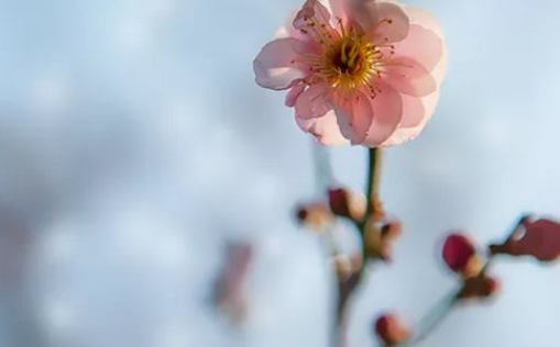 2021年3月9日农历正月二十六出生的男孩怎么起名简单大气-第1张图片 2021年3月9日农历正月二十六出生的男孩怎么起名简单大气-第1张图片