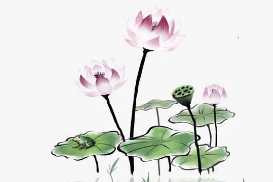 2020年2月1号出生的女孩是什么命,如何起名字吉祥-第1张图片 2020年2月1号出生的女孩是什么命,如何起名字吉祥-第1张图片
