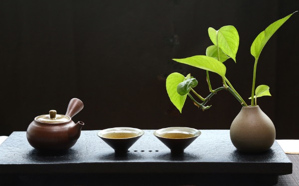 哪些花草树木适合起名,兰花和杨柳最合适