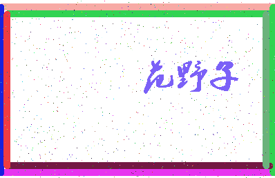 「范野子」姓名分数88分-范野子名字评分解析-第3张图片