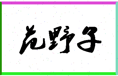 「范野子」姓名分数88分-范野子名字评分解析