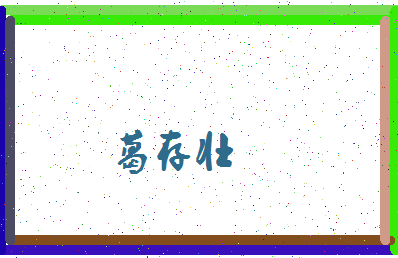 「葛存壮」姓名分数88分-葛存壮名字评分解析-第4张图片