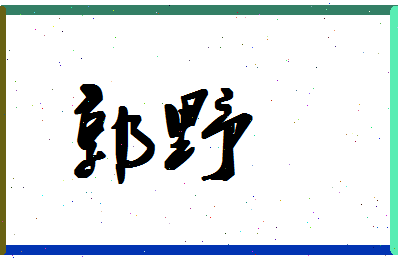 「郭野」姓名分数71分-郭野名字评分解析-第1张图片