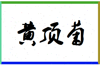 「黄顶菊」姓名分数98分-黄顶菊名字评分解析