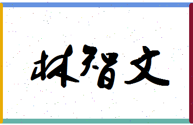 「林智文」姓名分数82分-林智文名字评分解析-第1张图片