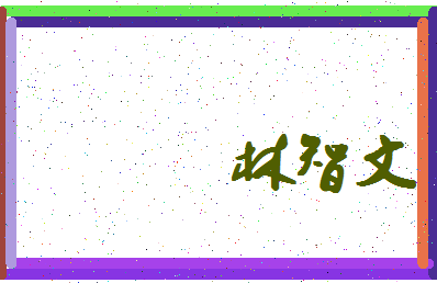「林智文」姓名分数82分-林智文名字评分解析-第4张图片