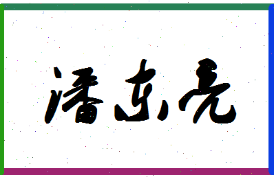 「潘东亮」姓名分数93分-潘东亮名字评分解析-第1张图片
