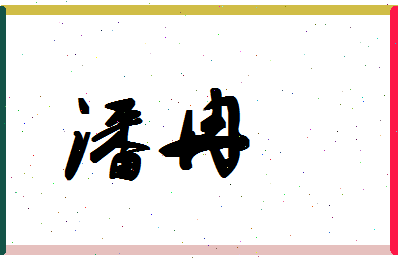 「潘冉」姓名分数93分-潘冉名字评分解析