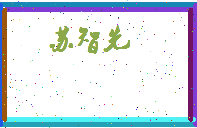 「苏智先」姓名分数77分-苏智先名字评分解析-第4张图片