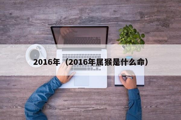 2016年（2016年属猴是什么命）
