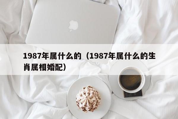 1987年属什么的（1987年属什么的生肖属相婚配）