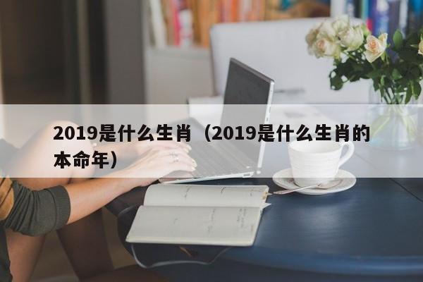 2019是什么生肖（2019是什么生肖的本命年）