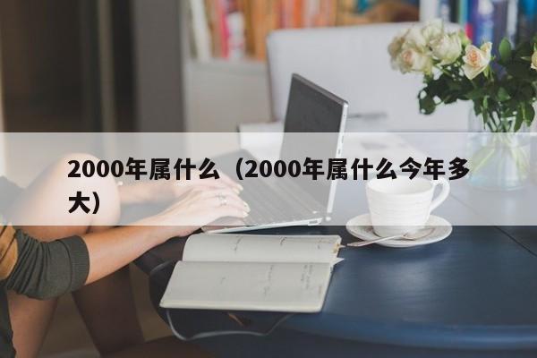 2000年属什么（2000年属什么今年多大）-第1张图片