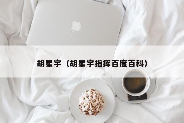 胡星宇（胡星宇指挥百度百科）